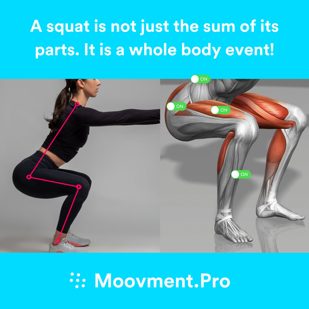 MoovmentPro Squat Knowledge